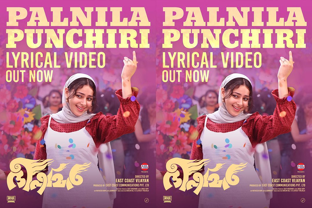 Palnila Punchiri Song Returns in Bheeshmar Ahead of March 20 Release